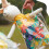 6 Unidades De Sacolas Para Diy, Transparente 7