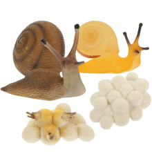 1 Set Schnecken Wachstumsspielzeug Entwicklungzyklus Cartoon Modelle