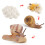 16 Teile Tierwachstumsmodell Hilfsmittel 5
