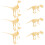 6 Stuks Skeletten Educatief Montagespeelgoed Plastic 5