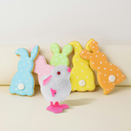 Wind Up Hase Plüschspielzeug Für Kinder Interaktives Ostergeschenk 2