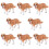 8 Unidades Cachorro Prop Didático 10