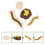 Conjunto Ciclo De Do Brinquedo Educativo 3