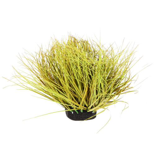 Grass Tuft Diy Modelspoorbaan Landschap Kleine Gamingscenario 2