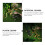 2 Peças De Lagarto Plástico Decoração Brinquedo 9