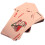 Conjunto De De Poker Com Para E Família 1