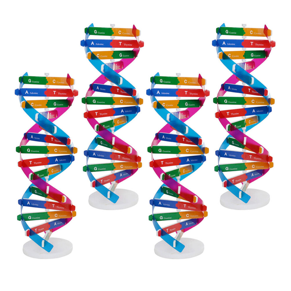 12 Sztuk Model Dna PodwóJna Helisa Edukacyjna-image