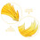 De Acción Con De Para Exhibición 7