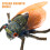 1 Set Cicada Simulata Decorativi Bambini 8