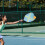 Conjunto De Raquetes De Pickleball Com Bolas Para Treinamento 4