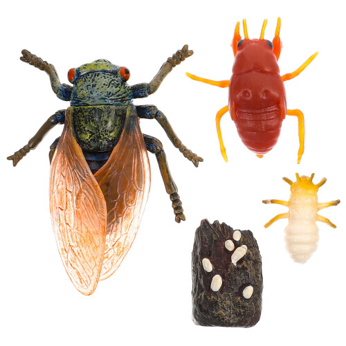 Conjunto De Ornamentos De Simulação Do Ciclo De Da 2