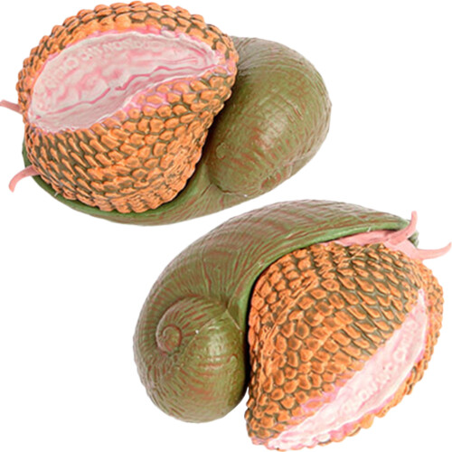 6 Unidades De Caracol Simulado Educativo Animal