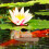 De Natural Decoração 3