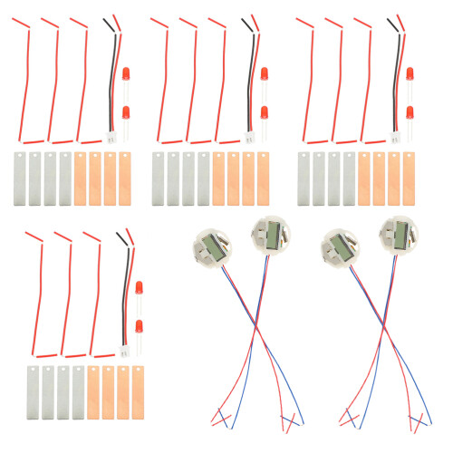4 Sets DIY Obstbatterie Experimentierkit Für Kinder STEM