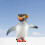 High Simulation Pinguin Tiermodell Für Kinder 5