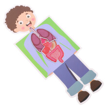 10 Sets Menschliche DIY Modell Bastelset Für Kinder