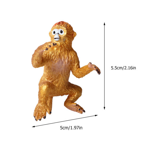 Solid Static Kognitive Bildungsmodelle Für Kinder 1