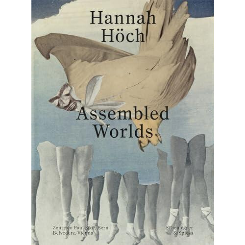 Hannah Hoch Paperback Book