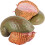 8 Pièces Figurine Simulée Escargot Animal Éducatif 2