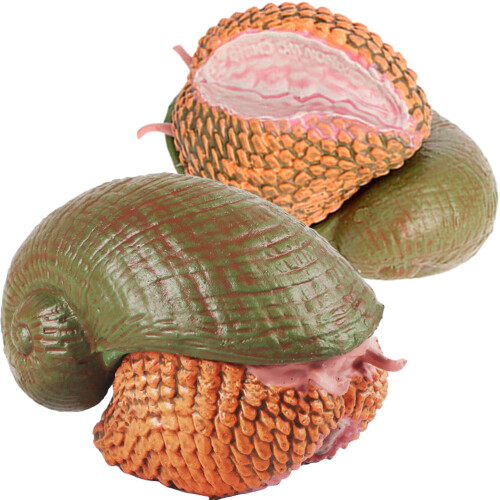 8 Pièces Figurine Simulée Escargot Animal Éducatif 1