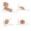 Madera Y Donut Para A Fingir, Accesorios Cocina 3