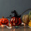 6Pcs Plastic Halloween Spider Toy Set 5