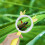 2Stück Anti-Fall Handheld Lupe Für Kinder, Tierdesign, Für Experimente 3