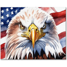 Bald Eagle Paint by Numbers Kit - DIY American Flag Craft Set for Adults & Beginners on 40x50cm Canvas with Acrylic Paints