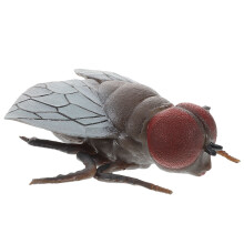 3Stk Solides Fliegenmodell Kinder Kognitives Insekten Spielzeug Deko