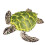 Hohe Simulation Schildkrötenmodell Meerorganismus Grün 1