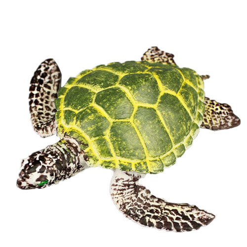 Hohe Simulation Schildkrötenmodell Meerorganismus Grün