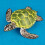 Hohe Simulation Schildkrötenmodell Meerorganismus Grün 5