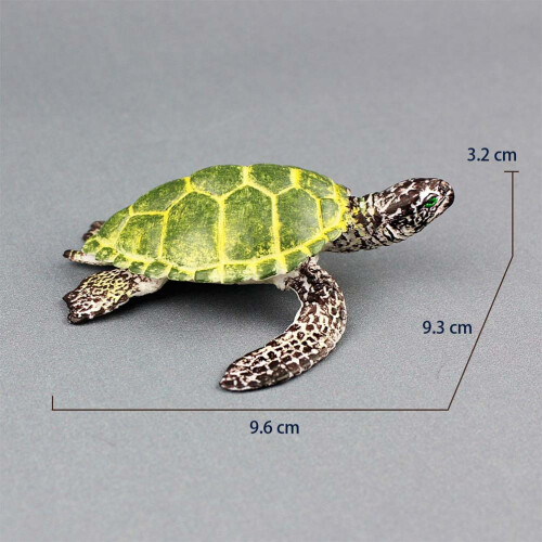 Hohe Simulation Schildkrötenmodell Meerorganismus Grün 1