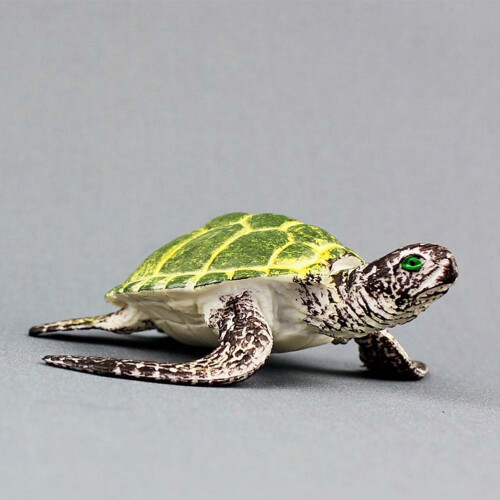 Hohe Simulation Schildkrötenmodell Meerorganismus Grün 2