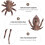 1 Set Simulationstier Evolution Modell Spielzeug Partydekoration 9