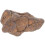 Meteorolite Model Meteoriet Versiering Klaslokaal Specimen 2
