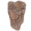 Meteorolite Model Meteoriet Versiering Klaslokaal Specimen 8