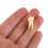 5Pcs Realistic Teeth Model For Teaching And Practice 7