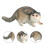 Plastic Cat Figurine Realistic Animal Ornament Model 5