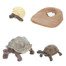 4 Pcs Tortoise Growth Cycle Toy Kit Turtle Adornment Random Color