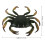 2Pcs Realistic Plastic Crab Model Educational Simulated Animal 10
