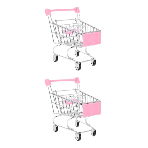 2Pz Mini Decorazione Rosa Educativo 1