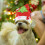 5Pcs Diy Christmas Hat Making Kit With Cartoon Design 10