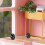 4 Casa con Manubri e Attrezzature Sportive 5