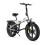 ENGWE ENGWE EngineX Ebike 250W 48V13Ah 100km Range-White 1