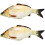 2 Unidades De De Almofada Decorativa 7
