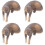 4 Mini In , Animale , Decorazione 7