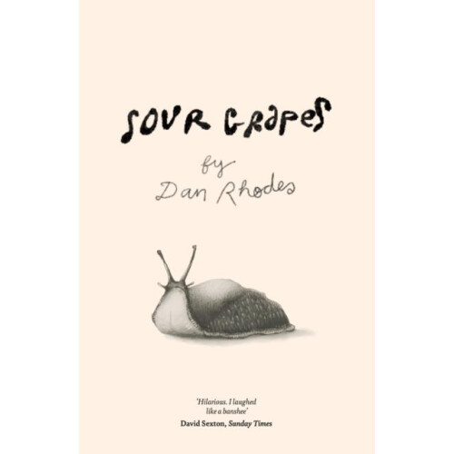 Sour Grapes by Dan Rhodes Paperback Book