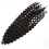 2Stk Afrikanische Dirty Braid Perücke Für (2#) 1