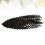 2Stk Afrikanische Dirty Braid Perücke Für (2#) 11